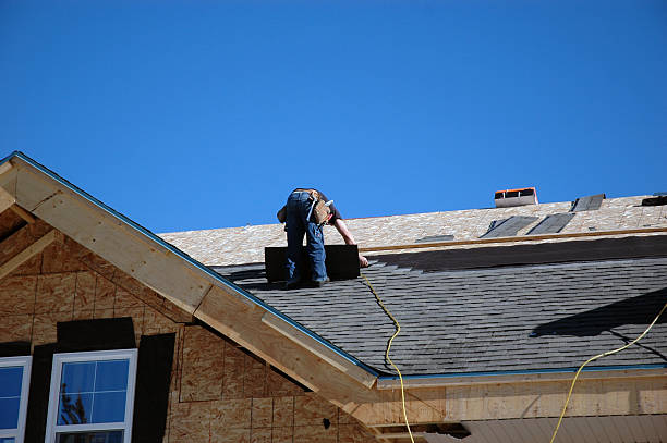 Best Roof Coating and Sealing  in Ferrysburg, MI